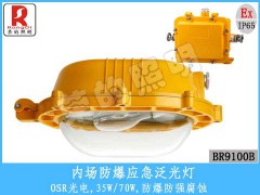 BR9100B內(nèi)場防爆應(yīng)急泛光燈